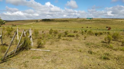 Chacra 20 Hectáreas en Zona Cañada Bellaca 