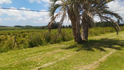 SE VENDE CHACRA EN LA RUTA 104 EN PRIMERA LINEA 