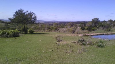 SE VENDE CHACRA DE CASI 7 HECTAREAS EN LAS CAÑAS 