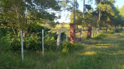 SE VENDE CHACRA DE 14 Hs. RUTA 39