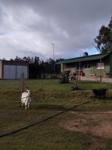 CHACRA EN SAN CARLOS RUTA 39