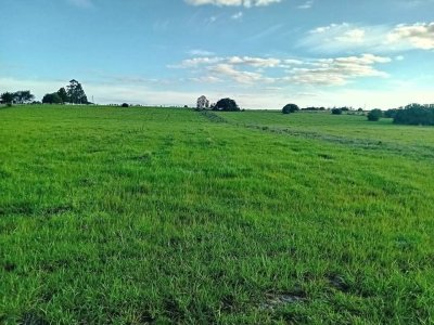 SE VENDE CHACRA DE 12 HAS.  EN CAÑADA BELLACA 