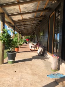 SE VENDE HERMOSA CHACRA EN LAS CAÑAS RUTA 39