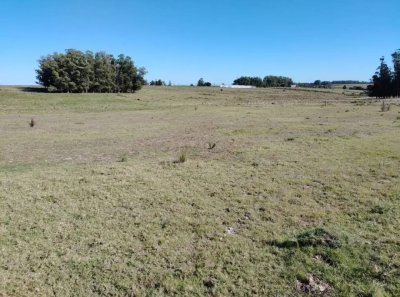 SE VENDE  CHACRA DE 5H A PASOS DE SAN CARLOS