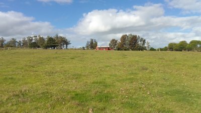 SE VENDE CHCRA ZONA RURAL SAN CARLOS RUTA 39