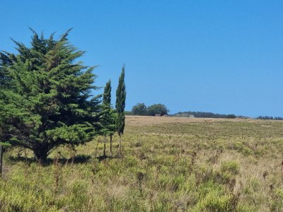 Campo en Venta - 101 Hectáreas en José Ignacio