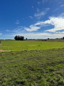 SE VENDE CAMPO 21 HECTAREAS JOSE IGNACIO