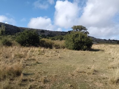 CAMPO 51 Ha ZONA LAS CAÑAS 
