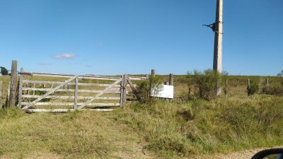 SE VENDE CAMPO DE 66 Ha CORTE DE LA LEÑA 