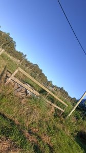 SE VENDE TERRENO EN LA BOTA