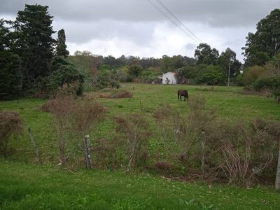 SE VENDE TERRENO 6800 M2  CANTERA DE MARELLI SOBRE RUTA