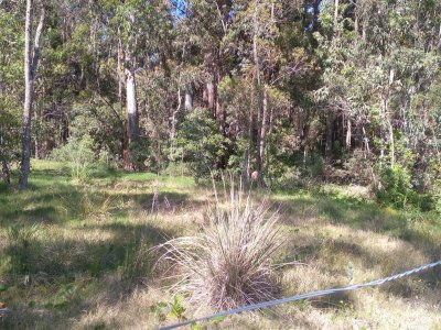 SE VENDE TERRENO POR GRAL. LEANDRO GOMEZ PROYECTO LOCALES Y APTOS