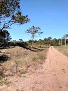 SE VENDE TERRENO EN LA VIUDA PUNTA DEL DIABLO