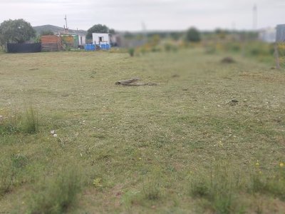 SE VENDE TERRENO EN PAN DE AZUCAR (GERONA km 110)  SUPERFICIE 609 M2