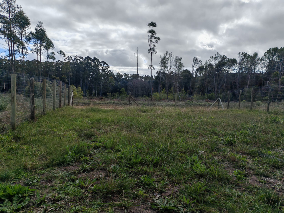 Terreno en venta en Fraccionamiento Los Chajás - Lausana