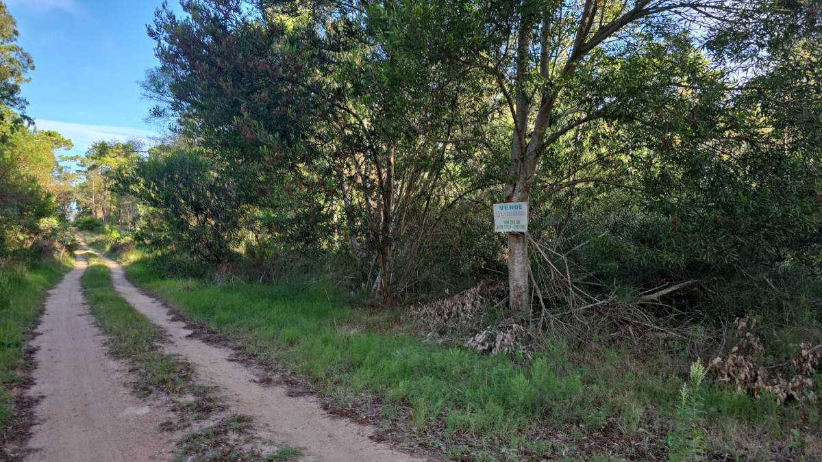 Terreno en venta 