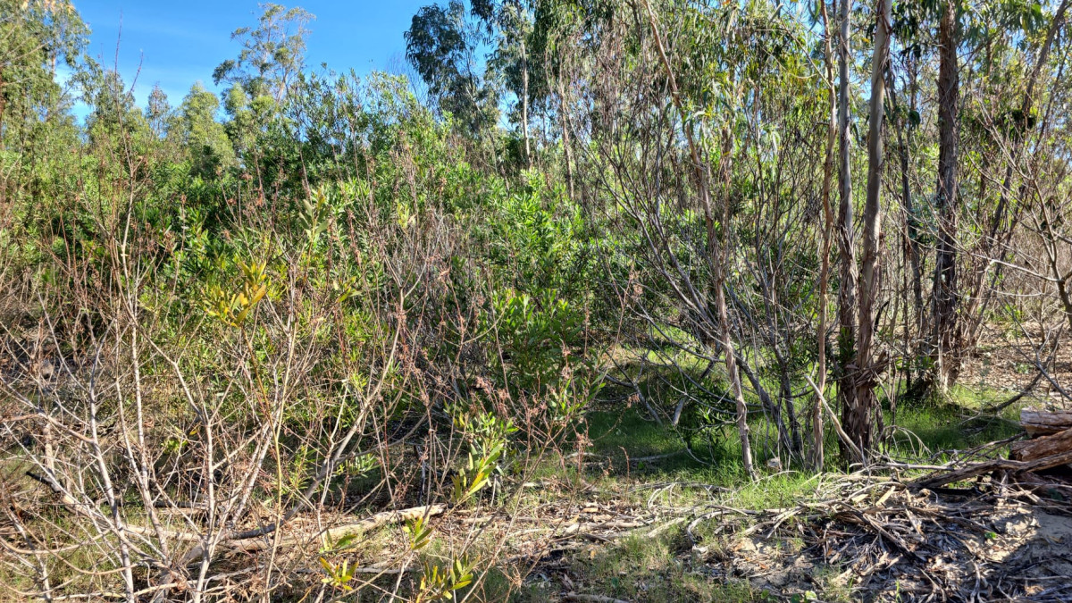 OPORTUNIDAD Terreno en venta