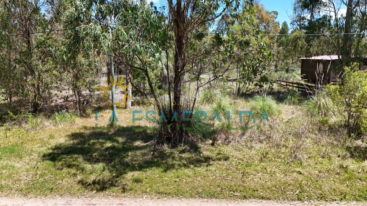3 terrenos con calle abierta y luz