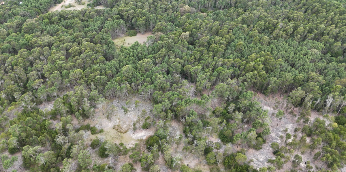 Terreno en venta