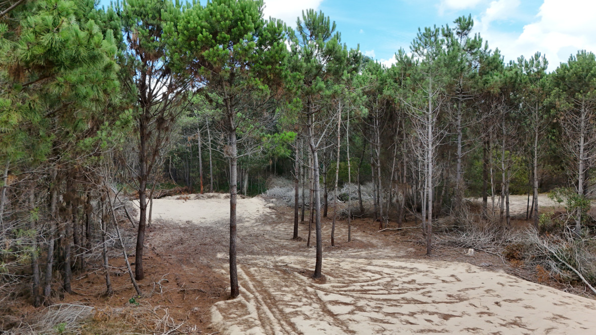 OPORTUNIDAD: Dos terrenos en venta a una cuadra del mar