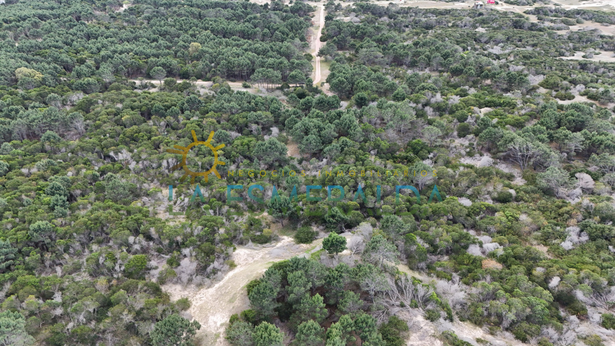 Terreno en primera linea de manzana