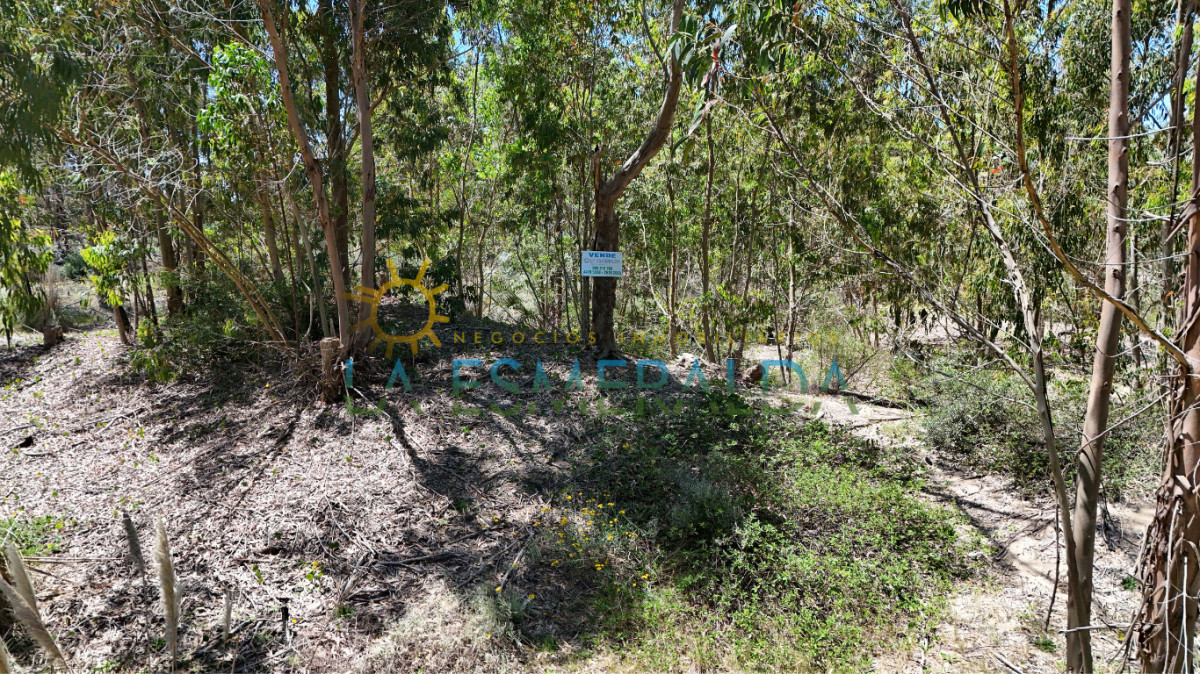 Terreno con relieve natural