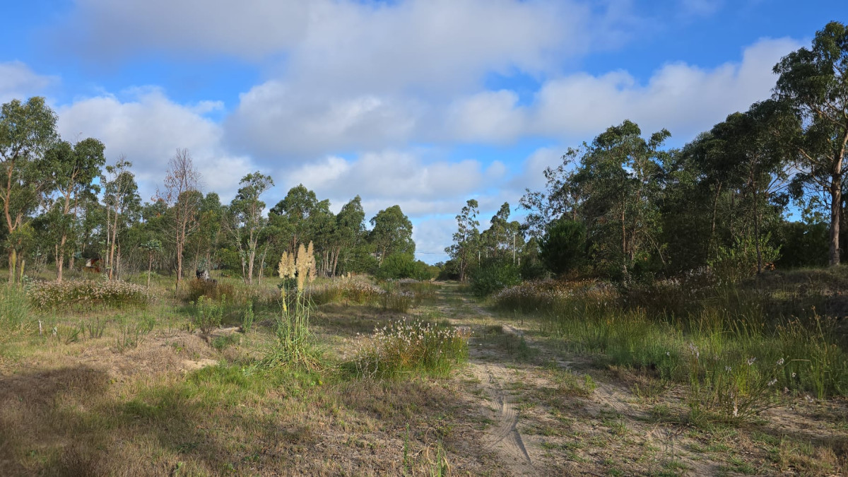 Oportunidad terreno en venta