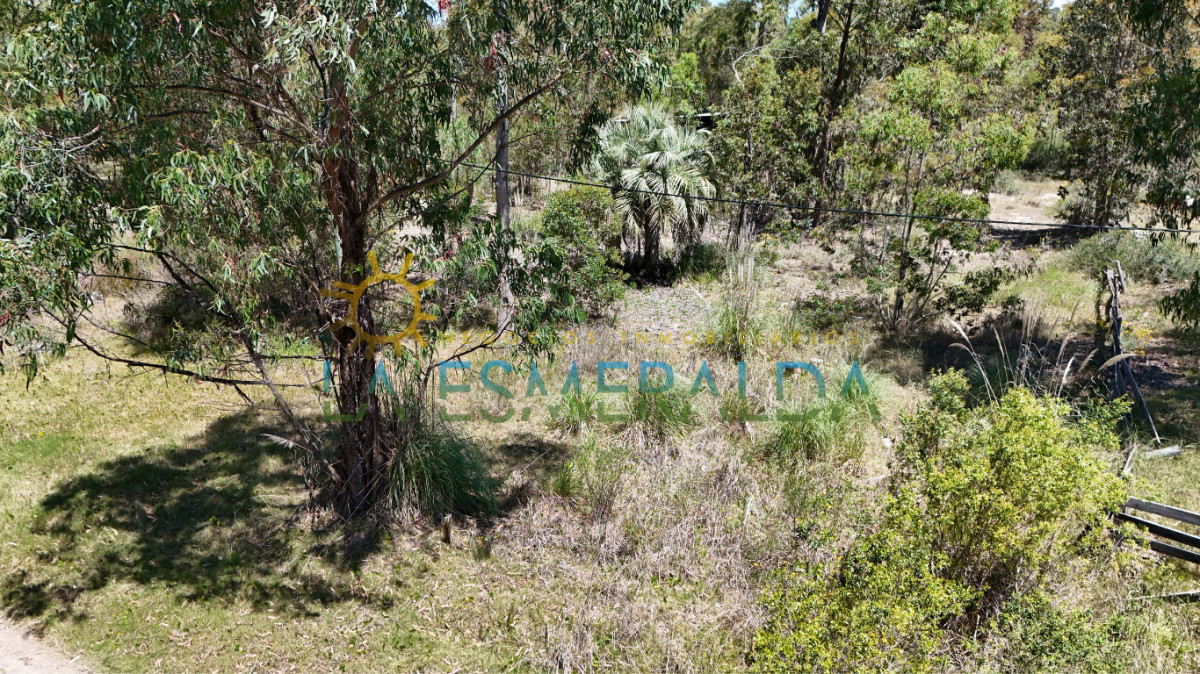 Terrenos con calle abierta y luz 