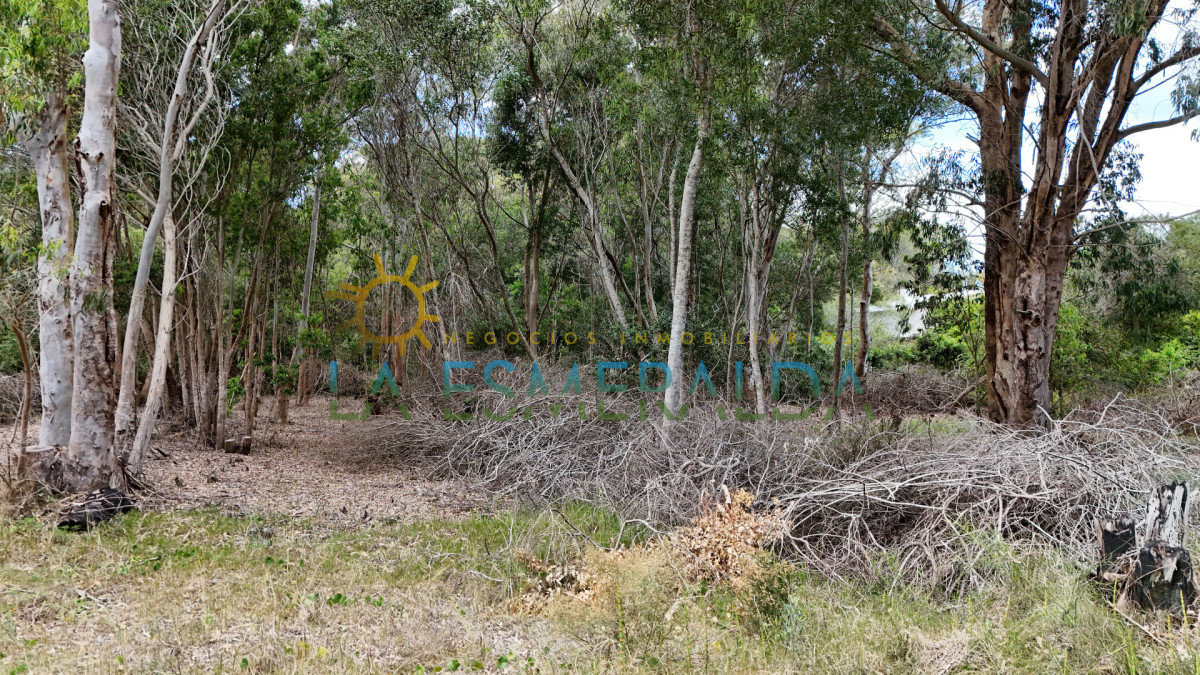 3 terrenos juntos en esquina a solo2 cuadras del mar