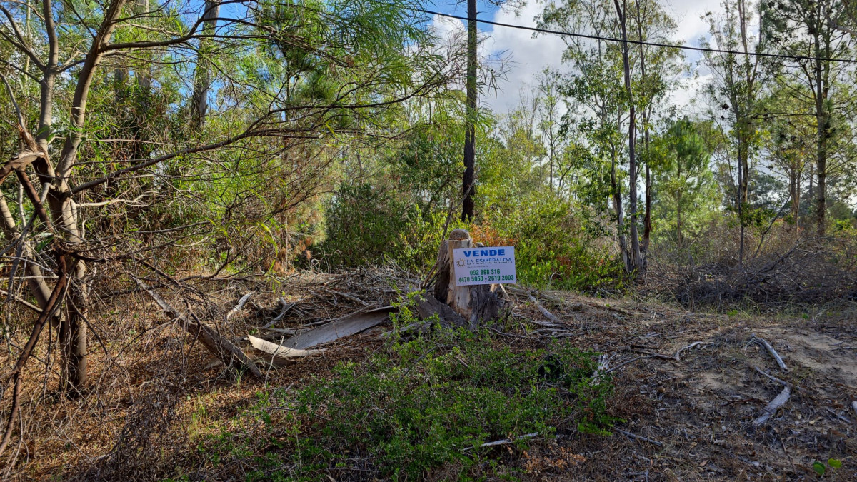 Oportunidad terreno en venta