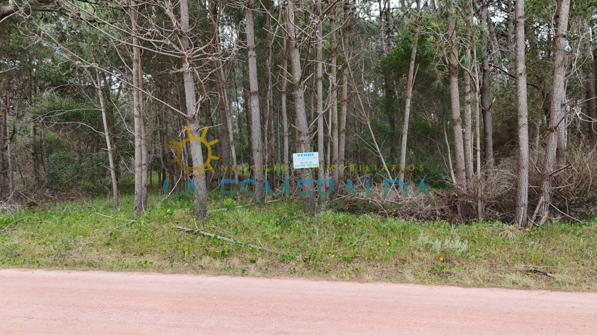 Dos terrenos a dos cuadras de la playa
