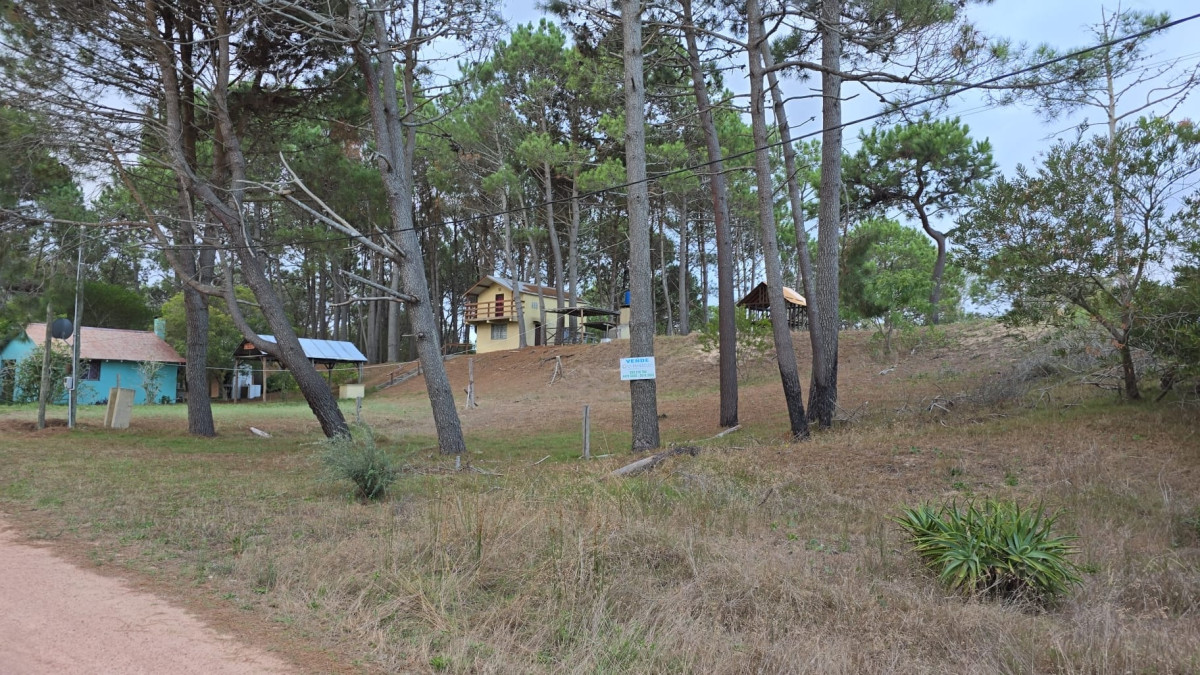 Terreno arbolado en venta