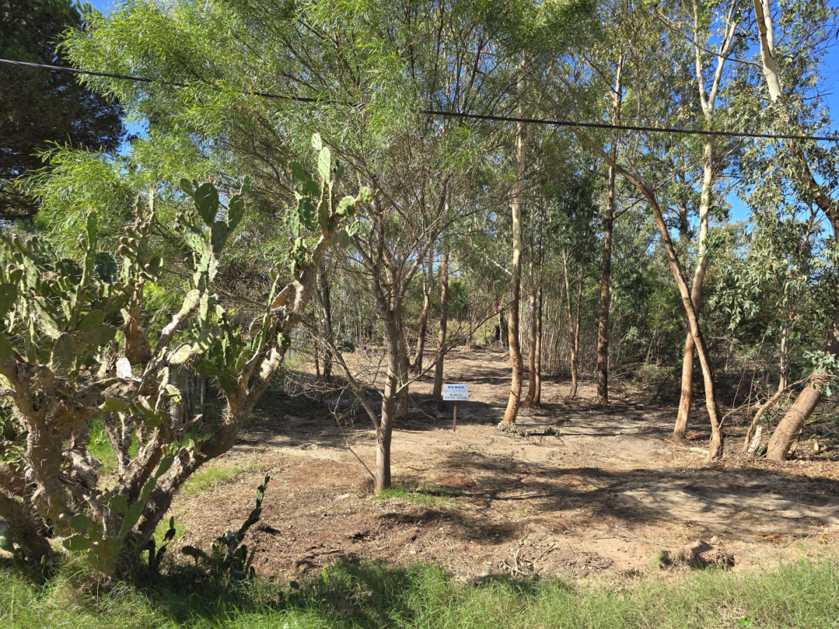Terreno en venta sobre calle principal