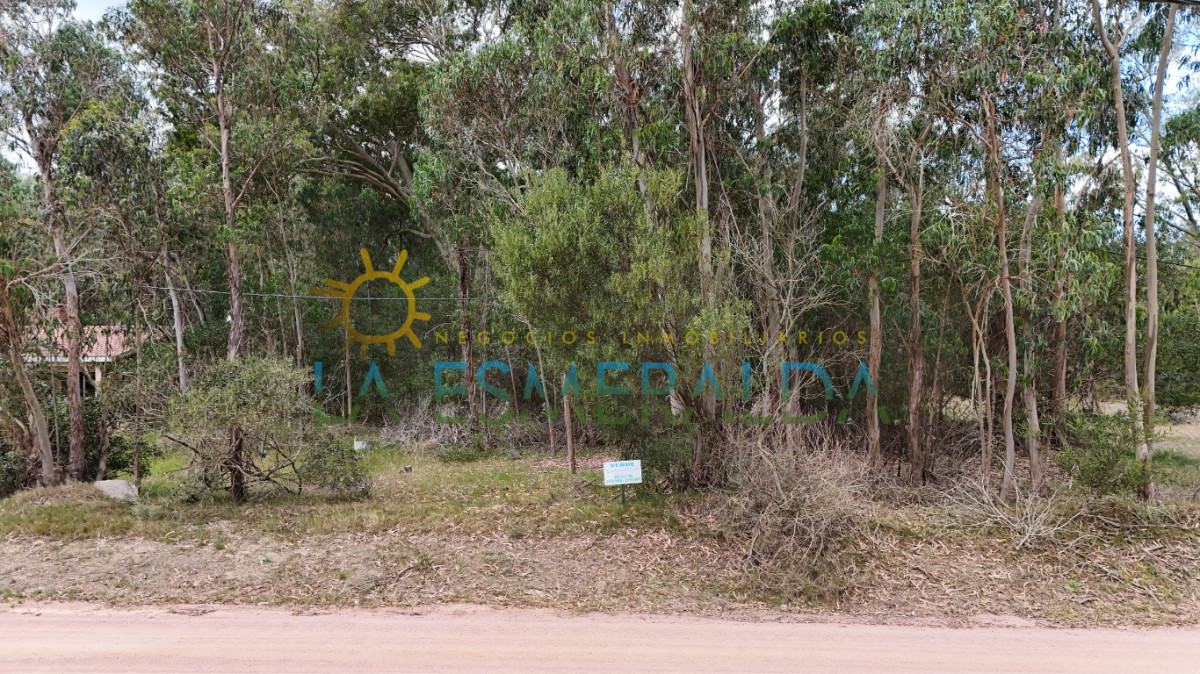 Terreno sobre calle principal
