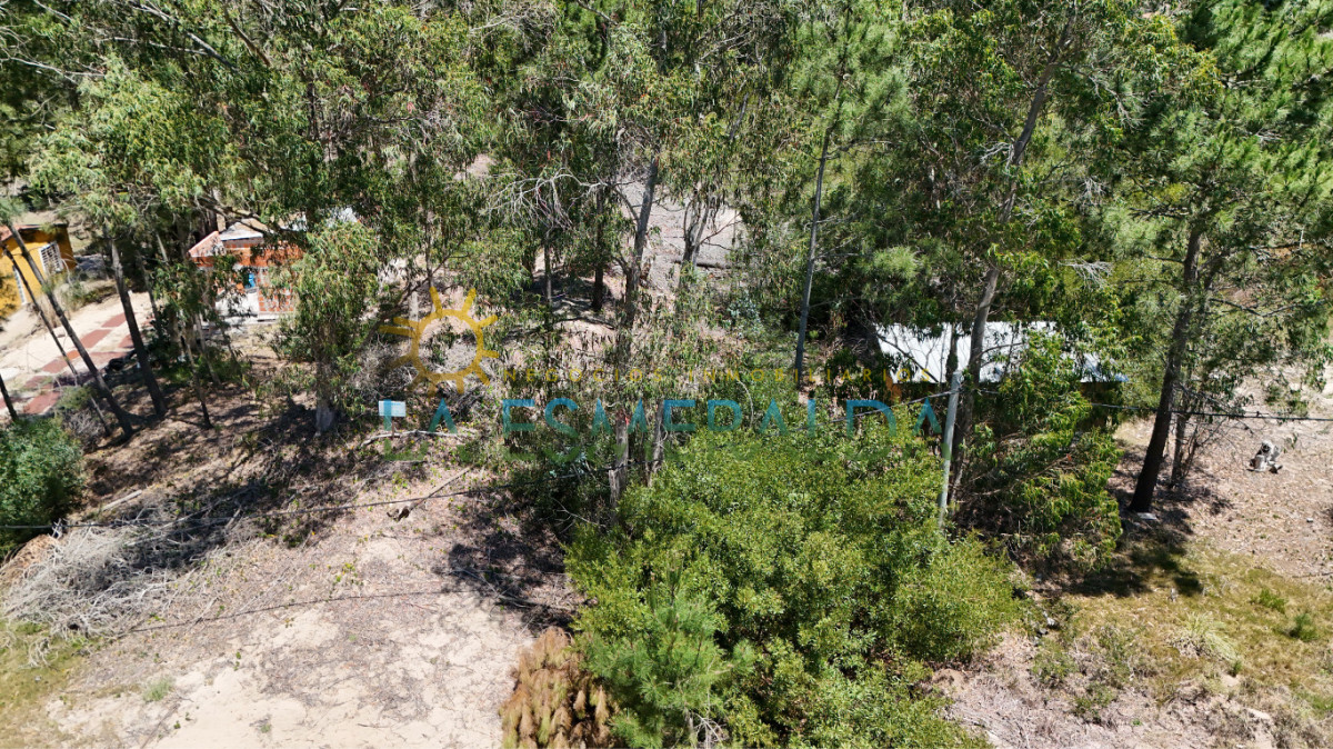 Terreno con duna natural