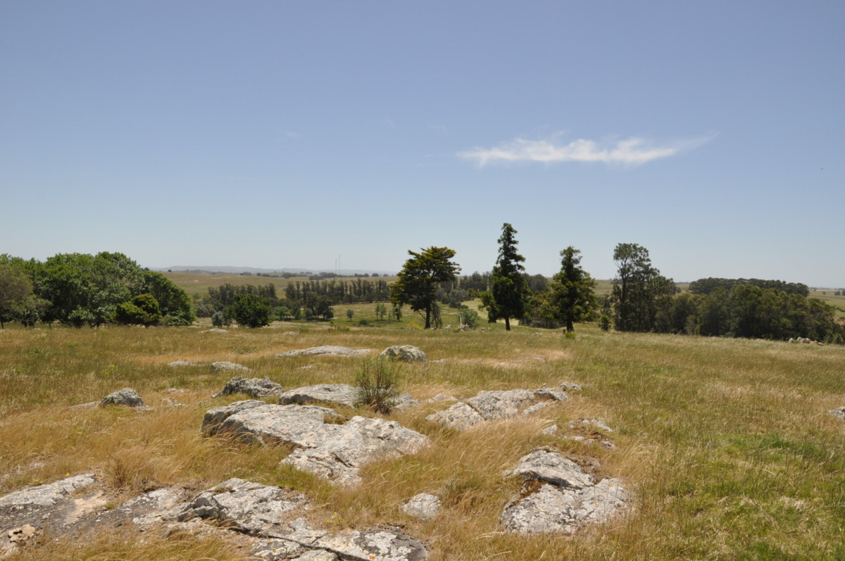 CHACRA 99 HECTÁREAS EN RINCÓN DE JOSÉ IGNACIO