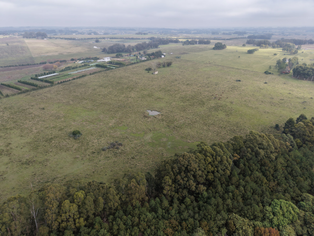 Campo sobre Ruta 104 a metros del MACA