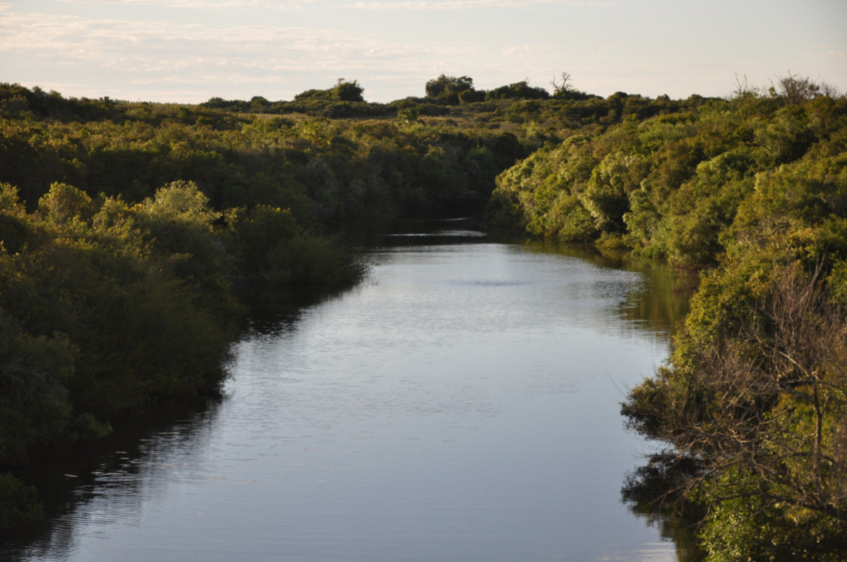 Ruta 9 y Arroyo Garzón 36.9 Hectáreas con costa 