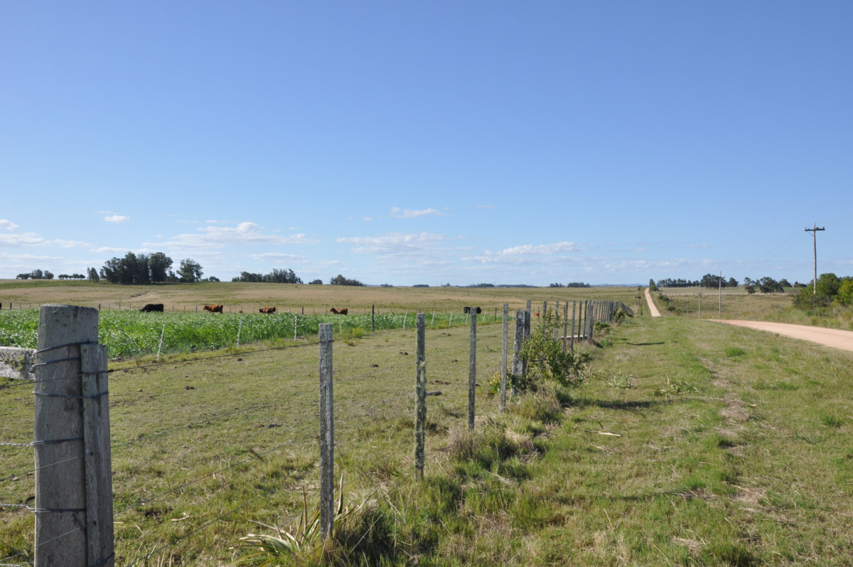 Campo en camino vecinal y Ruta 9 Zona Bodega Oceánica