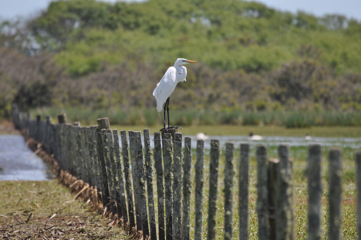 Campo 280 há sobre Laguna Garzón Área Protegida