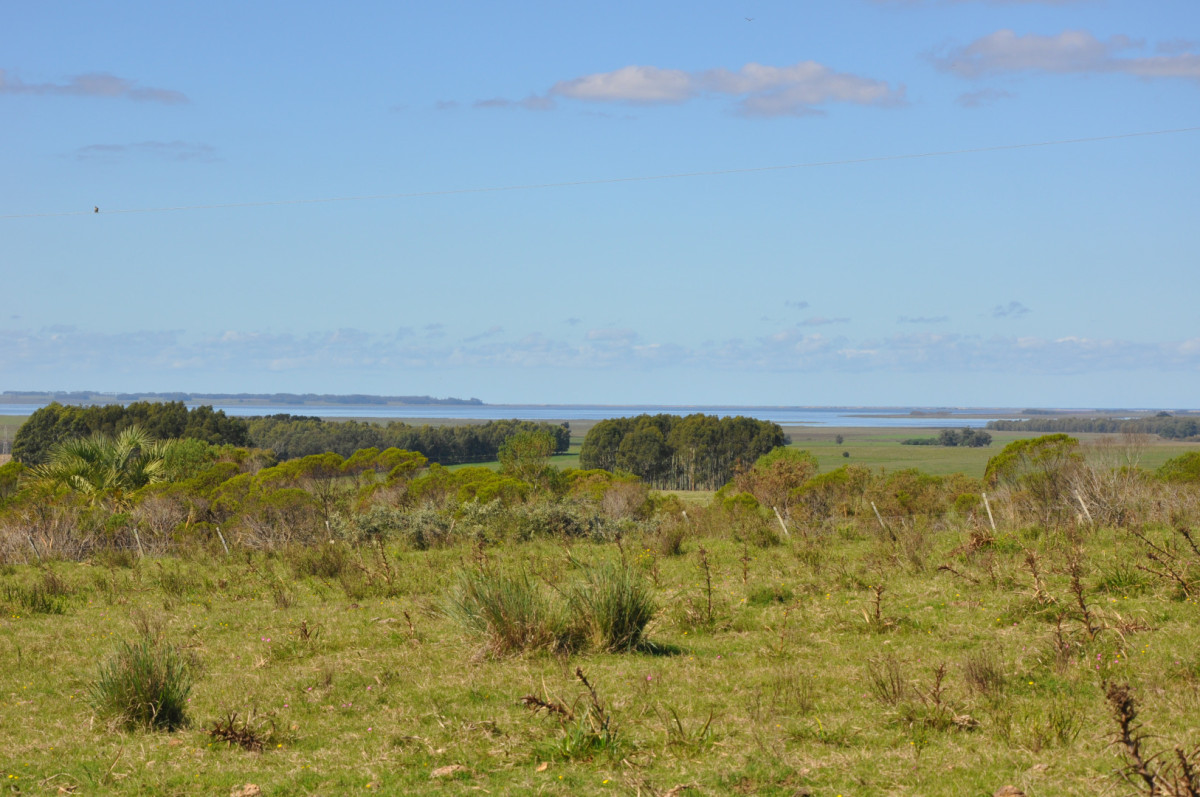 Campo Rocha Ruta 9 Km 196