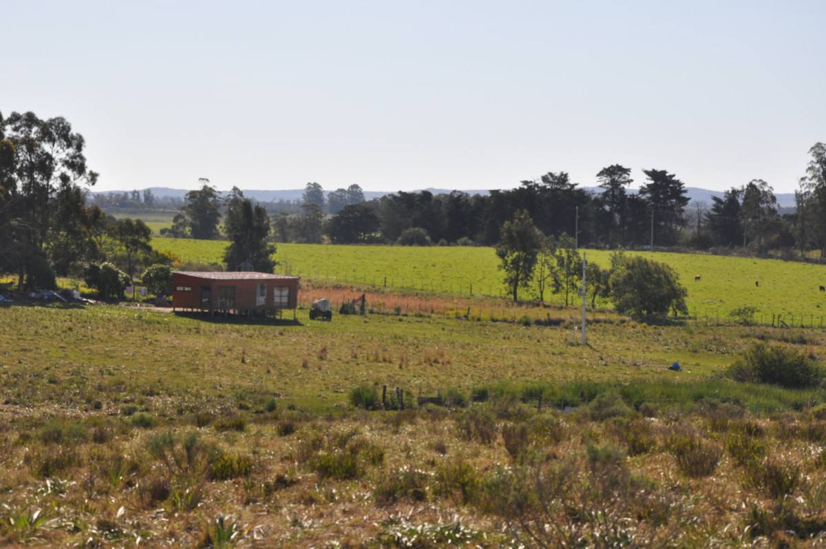 Campo Paso del Tigre con Cabaña