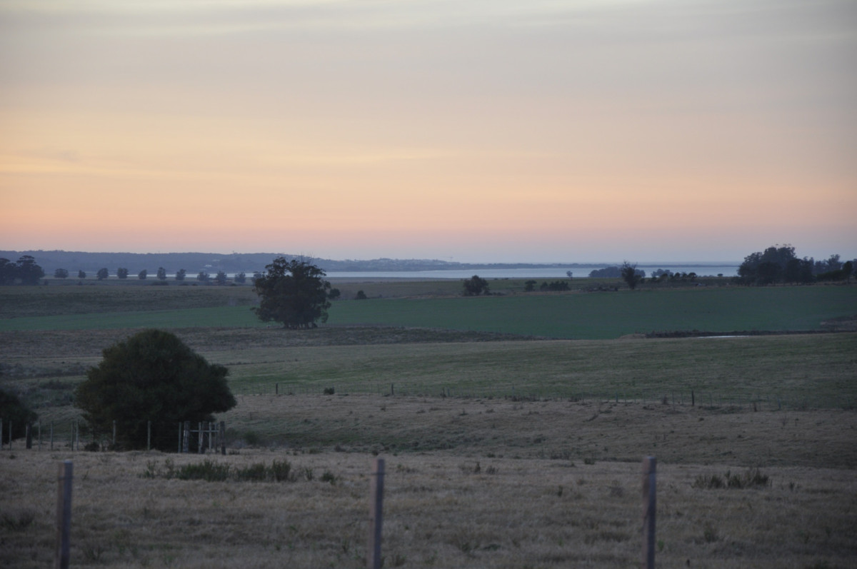 Campo de 39 hectáreas en Rincón de José Ignacio