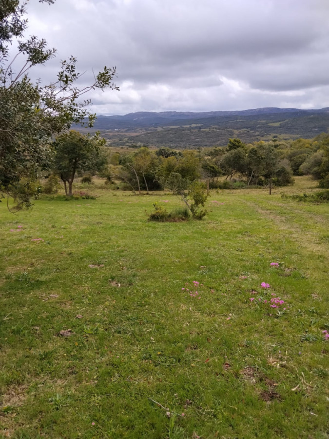 Campo 4 +3 há Paso de la Cantera 