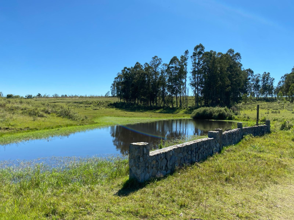 Campo en Venta de 31 Hectáreas Próximo a Garzón y José Ignacio   