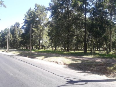 Chacra en Punta Ballena.