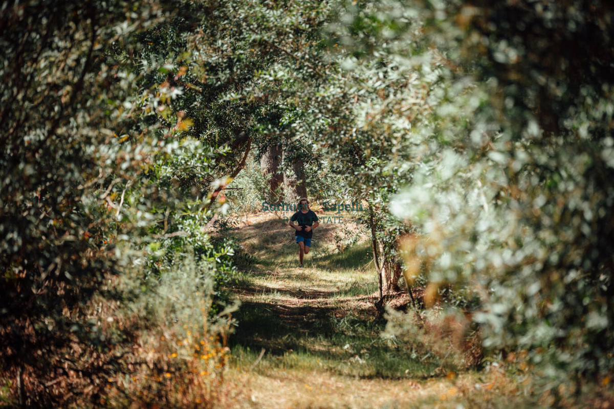 Incredible House in private neighborhood Montoya Reserve