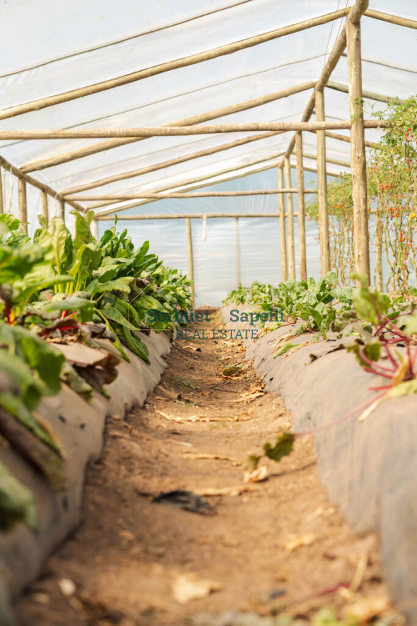 Chacra en venta Punta del Este, Lomas de San Vicente