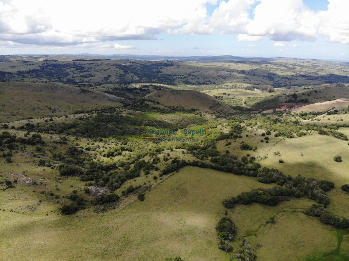 Farm for Sale in Maldonado