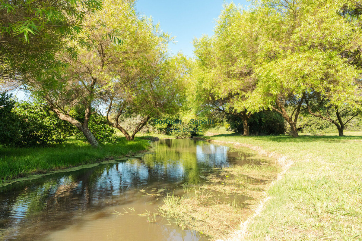 Chacra en venta Punta del Este, Lomas de San Vicente